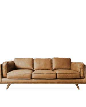Brown Living Room Sofa